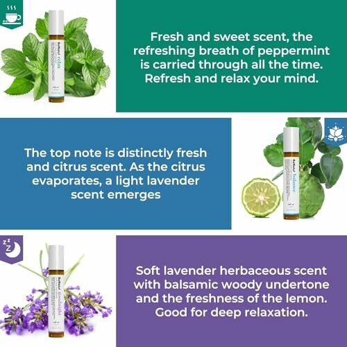 Aromatherapy essential oils with peppermint, citrus, and lavender descriptions.